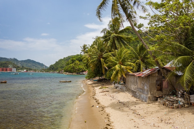 Piękne ujęcie małego domku nad brzegiem morza otoczonego palmami w Indonezji