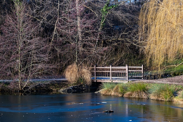 Bezpłatne zdjęcie piękne ujęcie małego mostu na jeziorze w parku maksimir w zagrzebiu w ciągu dnia