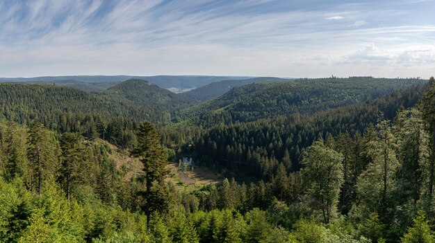 Piękne ujęcie Schwarzwaldu w Niemczech