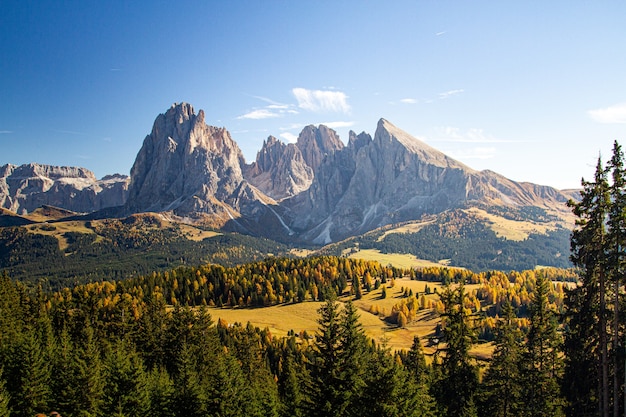 Piękne ujęcie trawiastych wzgórz porośniętych drzewami w pobliżu gór w Dolomitach we Włoszech