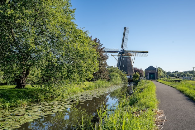 Piękne ujęcie wiatraków w Kinderdijk w Holandii