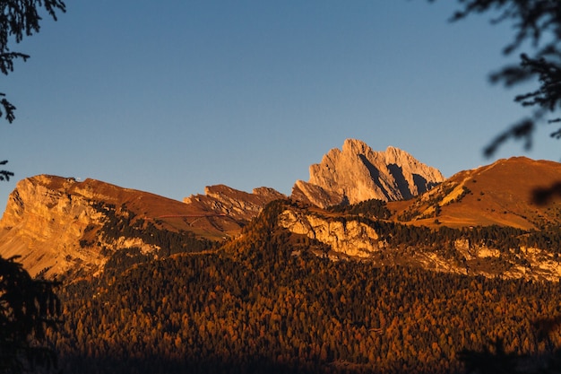 Piękne ujęcie zalesionej góry z błękitnym niebem w tle w dolomitach we Włoszech