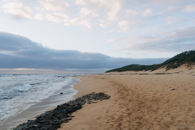 Piękne ujęcie złotej piaszczystej plaży z zachmurzonym niebem