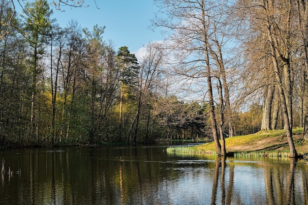 Piękne wiosenne jezioro w publicznym parku leśnym Wiosna wczesnym wieczorem słoneczny dzień błękitne niebo z chmurami Północna przyroda początek wiosny Pomysł na baner
