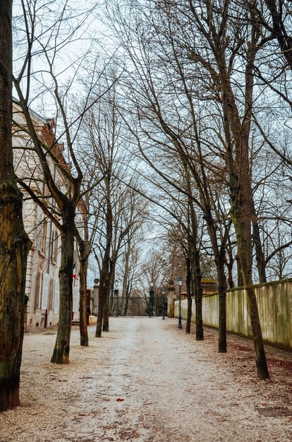 Piękne zdjęcia krajobrazu ogrodów Paryża w pochmurny dzień