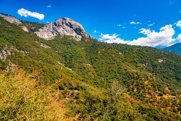 Piękne zdjęcia lasów krajowych Sequoia na tle gór Sierra