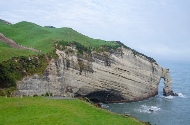 Piękne zdjęcie plaży Wharakiki w Nowej Zelandii