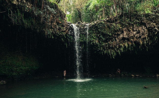 Bezpłatne zdjęcie piękne zdjęcie wodospadu maui hawaii hana highway