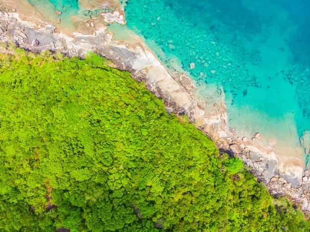 Pięknej przyrody tropikalna plaża i morze