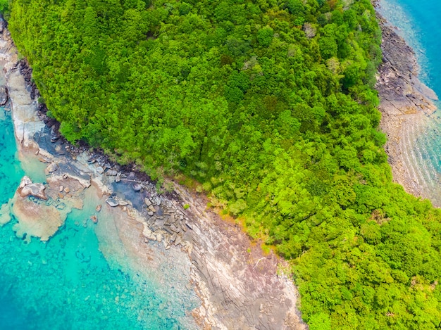 Pięknej przyrody tropikalna plaża i morze