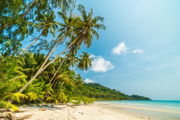 Pięknej przyrody tropikalnej plaży