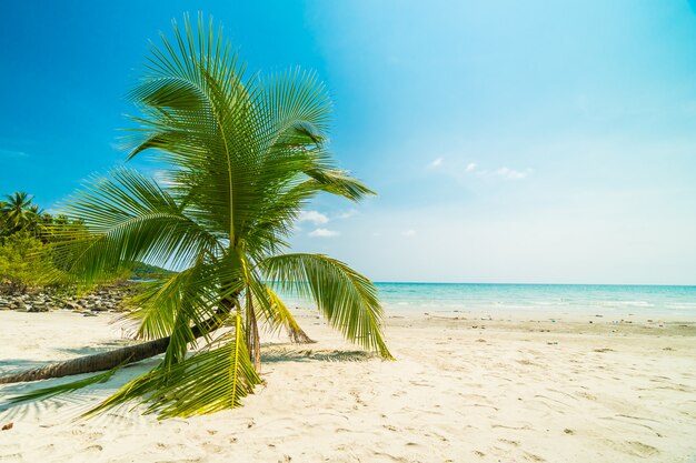 Pięknej przyrody tropikalnej plaży