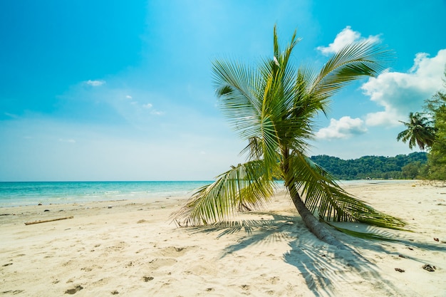 Pięknej przyrody tropikalnej plaży