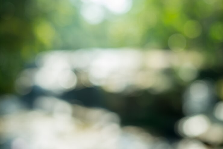 Bezpłatny plik Zdjęcie piękno defocus flory ostrości biała