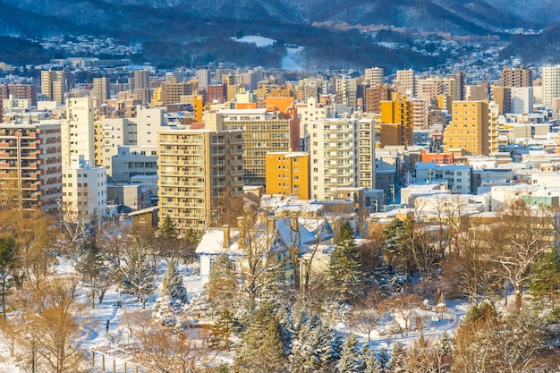 Bezpłatne zdjęcie piękny architektura budynek z górskim krajobrazem w zima sezonie sapporo miasto hokkaido japonia