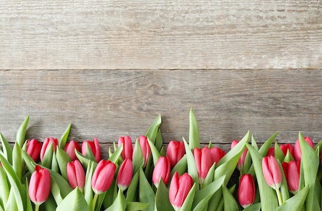 Piękny bukiet tulipanów na drewniane tła