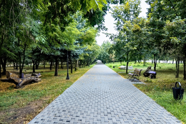 Bezpłatne zdjęcie piękny chodnik w parku z ławkami
