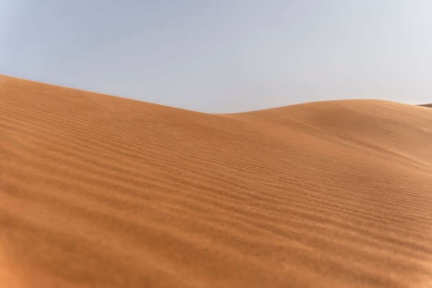 Bezpłatne zdjęcie piękny i ciepły pustynny krajobraz