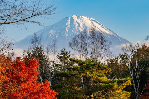 Piękny krajobraz górski fuji