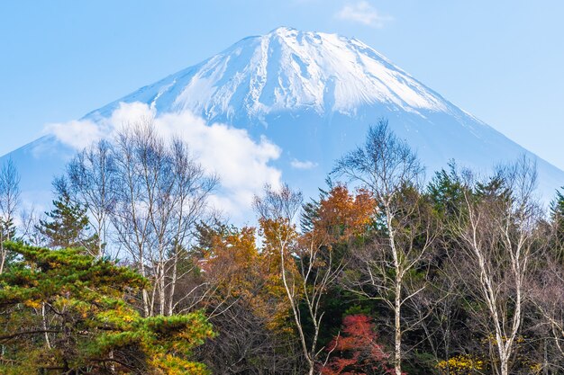 Piękny krajobraz górski fuji