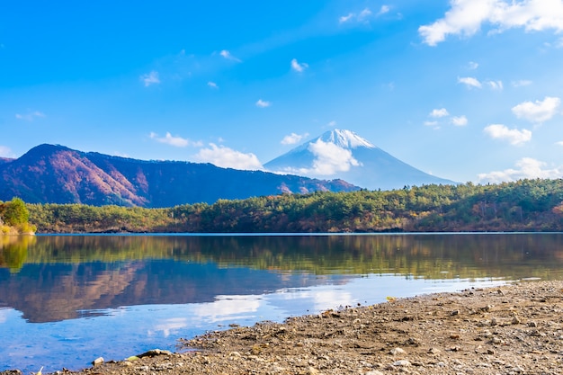 Bezpłatne zdjęcie piękny krajobraz górski fuji