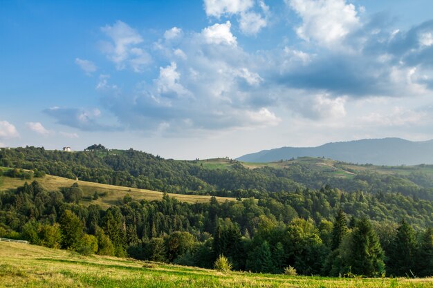 Piękny krajobraz letnich Karpat