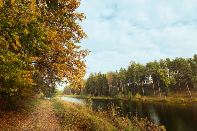 Piękny krajobraz matki natury