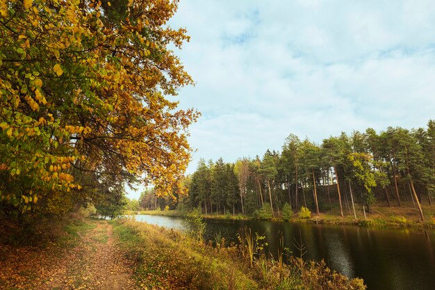 Piękny krajobraz matki natury