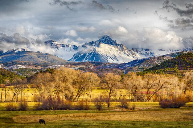 Piękny krajobraz pokrytych śniegiem gór, falistych wzgórz i płaskich pastwisk