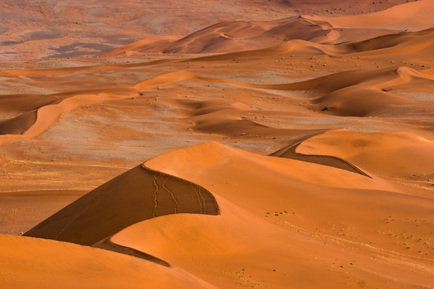 Piękny krajobraz pomarańczowej piasek diuny pomarańczowy piasek przy Namib pustynią w Namib-Naukluft parku narodowym Sossusvlei w Namibia.