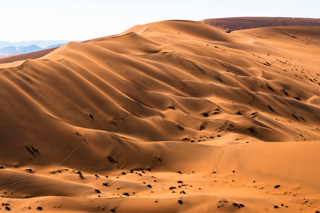 Piękny krajobraz pomarańczowej piasek diuny pomarańczowy piasek przy Namib pustynią w Namib-Naukluft parku narodowym Sossusvlei w Namibia.