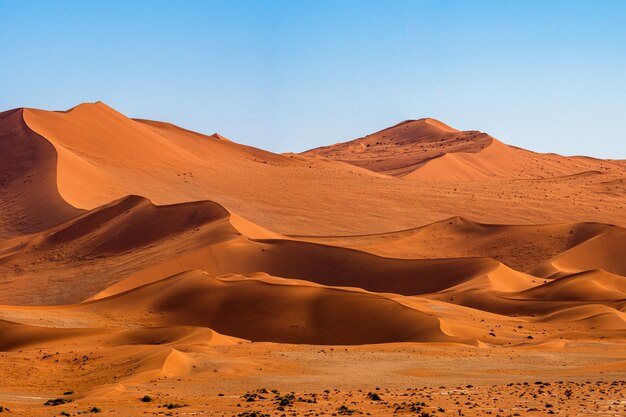 Piękny krajobraz pomarańczowej piasek diuny pomarańczowy piasek przy Namib pustynią w Namib-Naukluft parku narodowym Sossusvlei w Namibia.