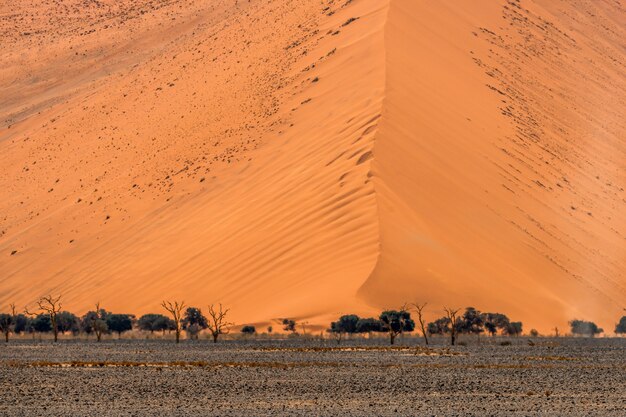 Piękny krajobraz pomarańczowej piasek diuny pomarańczowy piasek przy Namib pustynią w Namib-Naukluft parku narodowym Sossusvlei w Namibia.