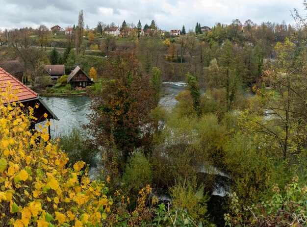 Piękny krajobraz rzeki