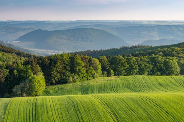 Piękny krajobraz strzelający zieleni pola na wzgórzach otaczających zielonym lasem