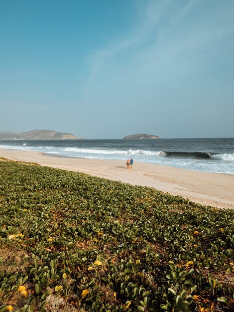 Piękny krajobraz ujęcie złotego zachodu słońca na plaży miasta w Rio de Janeiro