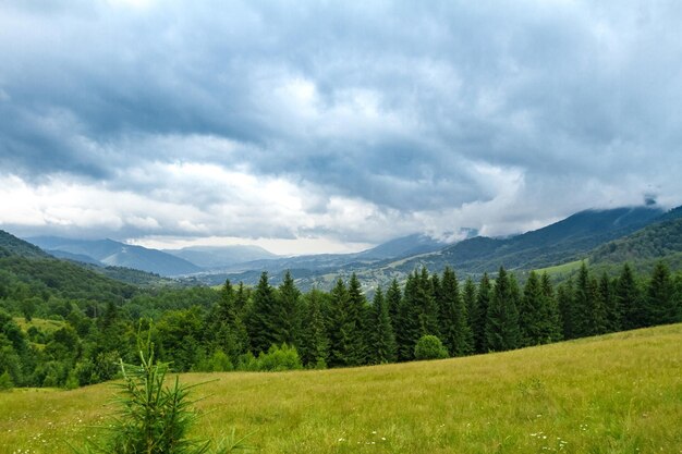 Piękny krajobraz ukraińskich Karpat