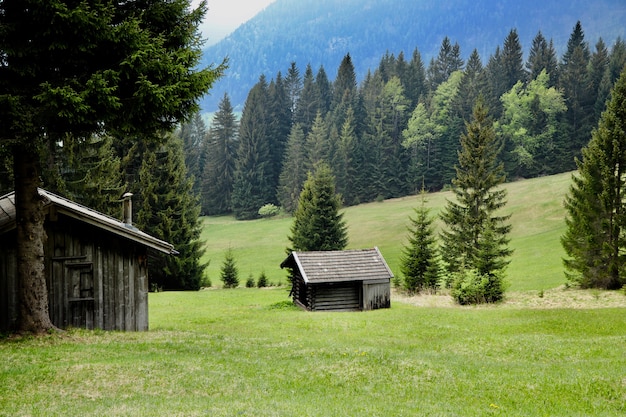 Piękny krajobraz z drewnianymi domkami i zielonymi drzewami