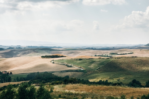 Piękny lato krajobraz zielony Tuscany, Włochy