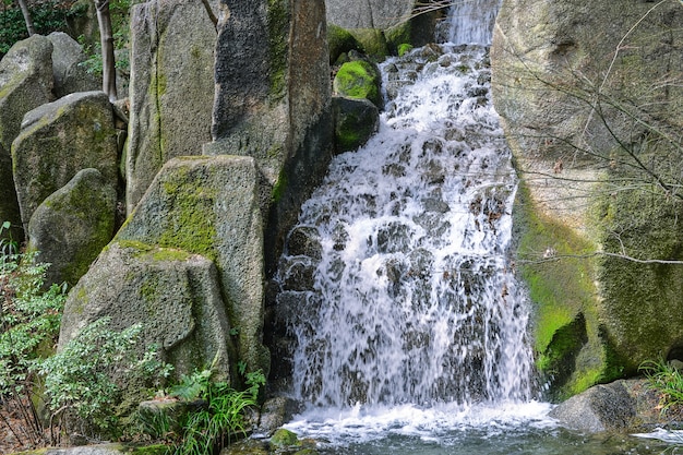 Bezpłatne zdjęcie piękny naturalny wodospad