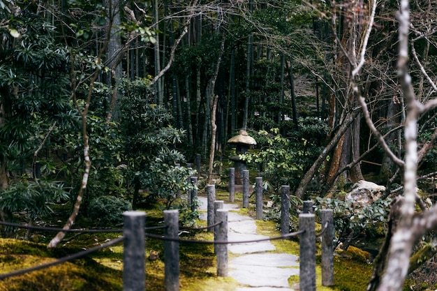 Bezpłatne zdjęcie piękny ogród japoński