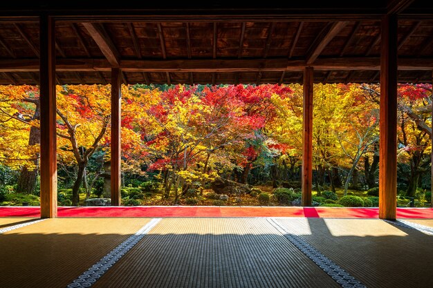 Piękny ogród jesienią w świątyni Enkoji, Kioto, Japonia.