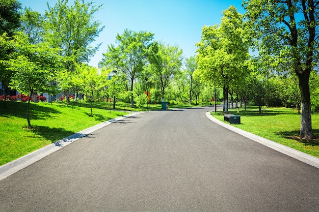 Bezpłatne zdjęcie piękny park miejski