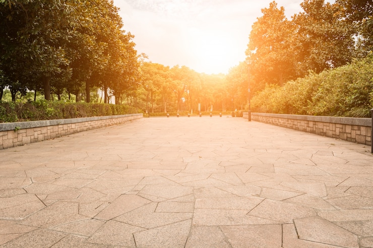Bezpłatny plik Zdjęcie piękny park społeczność roślin bujna