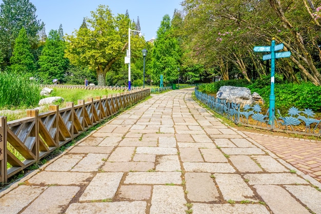 Bezpłatne zdjęcie piękny park