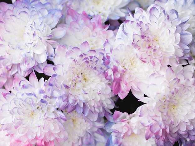 Piękny pastelowy bukiet kwiatowy