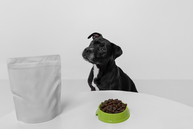 Bezpłatne zdjęcie piękny pies z pożywnym jedzeniem