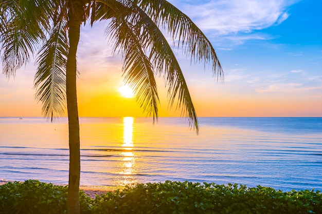 Piękny plenerowy natura krajobraz morze i plaża z kokosowym drzewkiem palmowym