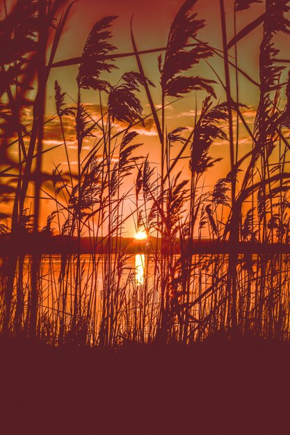 Piękny sceniczny widok czerwony zmierzch nad jeziorem