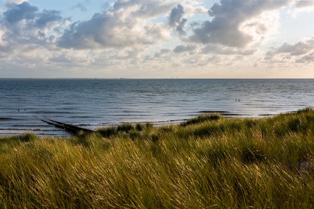 Piękny Strzał Piaskowata Plaża Pod Chmurnym Niebem W Vlissingen, Zeeland, Holandie